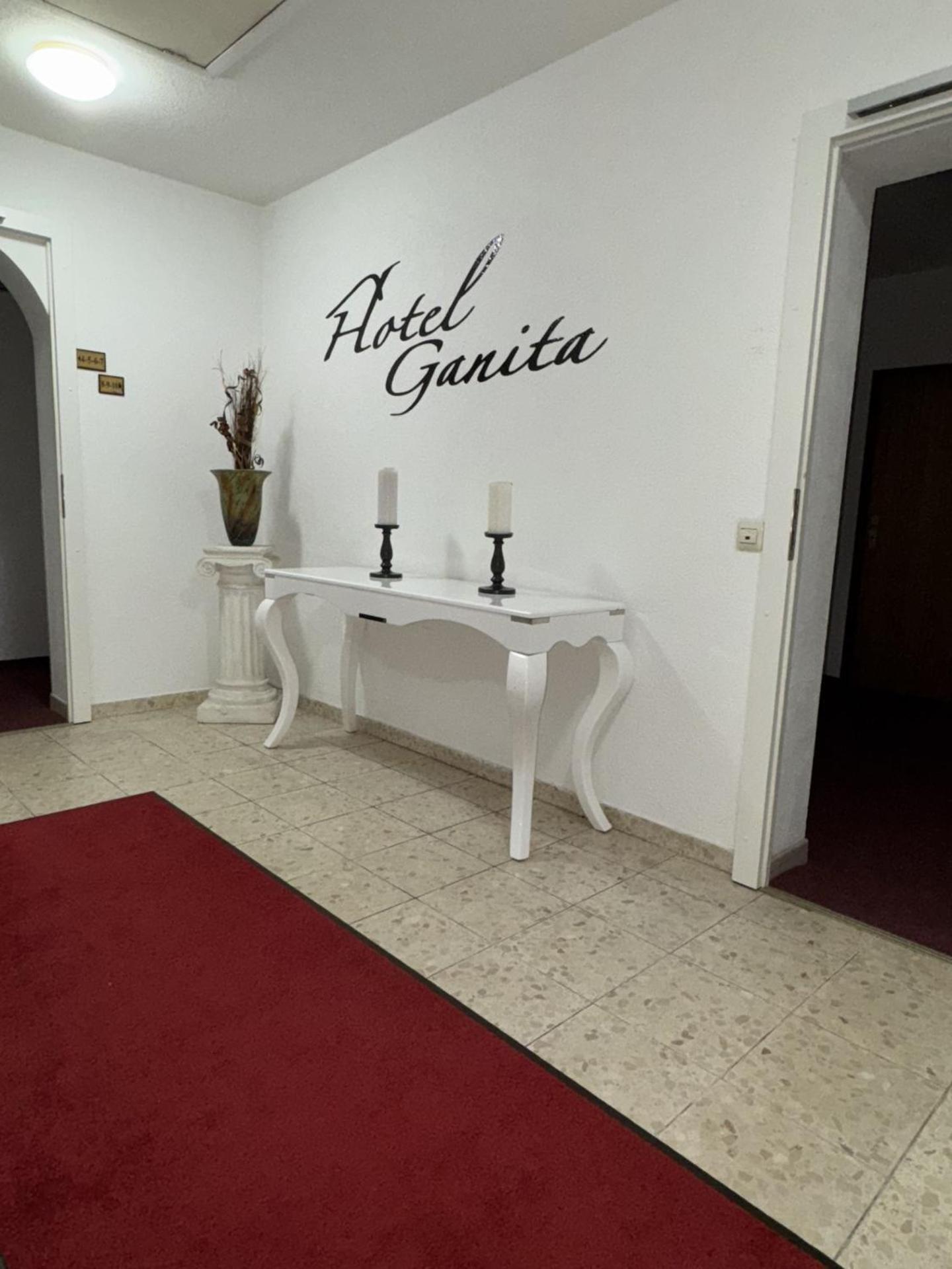 Hotel Ganita 莱茵河畔威尔 外观 照片