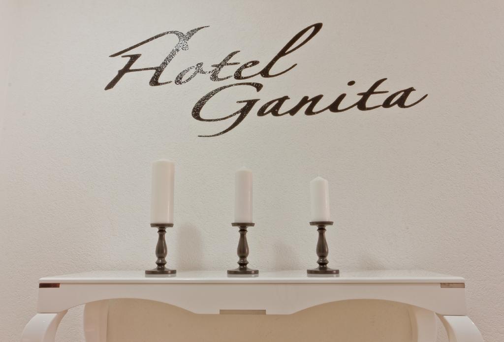Hotel Ganita 莱茵河畔威尔 外观 照片